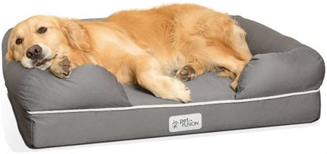 This Heated Dog Bed Will Keep Your Pet Toasty Warm All Winter