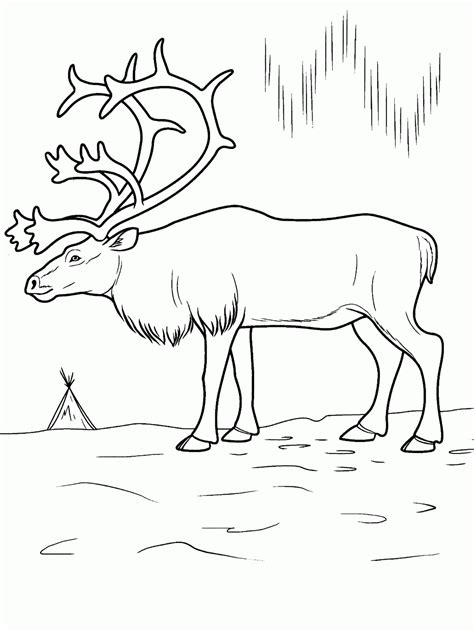 Free Printable Arctic Animals Coloring Pages - Coloring Home