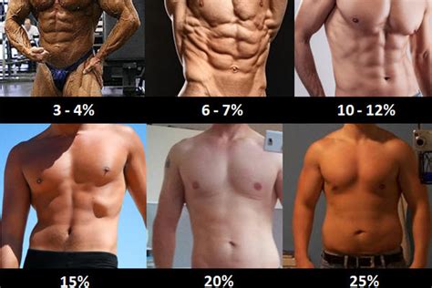 Body fat percentage for six pack