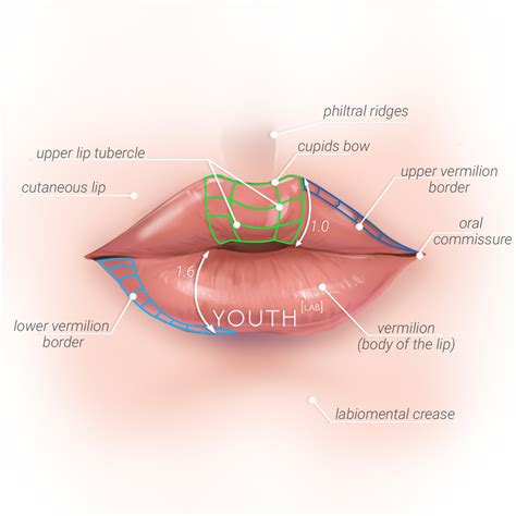 The Perfect Lip — Youth Lab, Perth