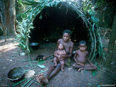 'Pygmies' - Survival International