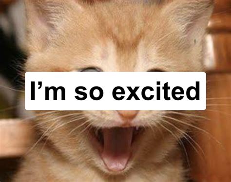 Excited Cat Meme Generator - Piñata Farms - The best meme generator and ...