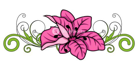 Decorative Flower Divider Vector Design Royalty-Free Stock Image ...