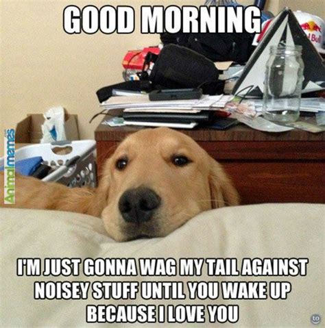 21 Funny Good Morning Memes To Start Off Your Day