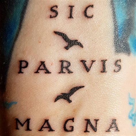 101 Sic Parvis Magna Tattoo Ideas