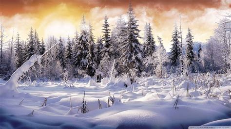 Winter Wonderland 4K Wallpapers - Top Free Winter Wonderland 4K ...