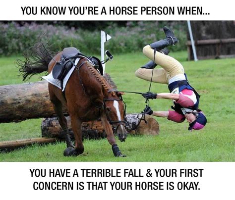 10 Things Only Horse People Understand | Horses, Funny horses, Horse ...