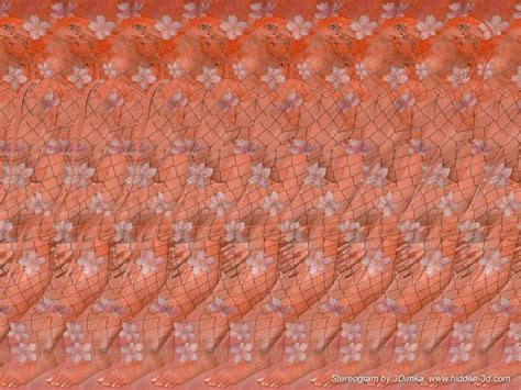 Some sexy 3D Stereograms and such - Gallery | eBaum's World