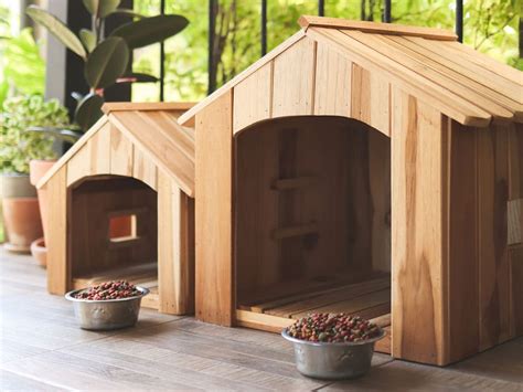 Best Material To Build A Dog House | My Little & Large Pet Marketplace