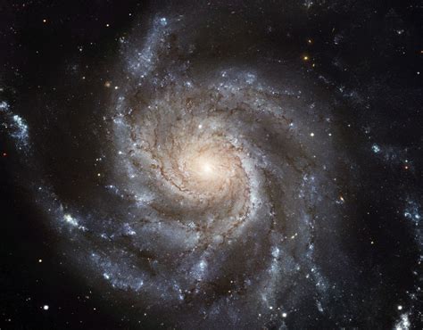 Pinwheel Galaxy (M101): Facts, Location, Images, Videos | Constellation ...