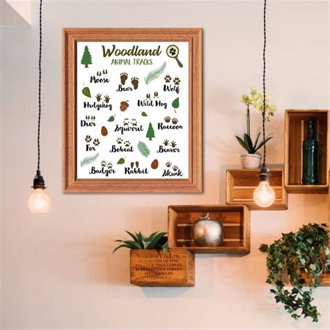 Printable Animal Tracks Poster-woodland Animals Print-outdoor - Etsy