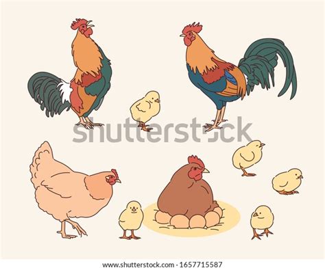 Chicken Family Character Realistic Drawing Hand Stock Vector (Royalty ...