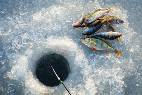 The Modern Farmer Guide to Ice Fishing - Modern Farmer