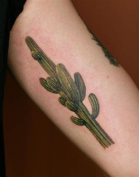 Cactus Tattoo Symbolism: A Guide To Their Meanings