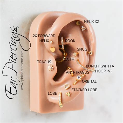 Ear Piercing Location Diagram with Spirit Adornments Jewelry | Ear ...