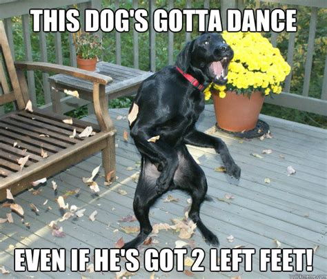 Dancing Dog memes | quickmeme