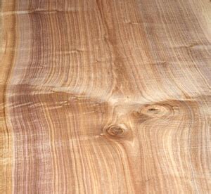 9 Most Popular Types Of Walnut Wood In Woodworking Industry ...