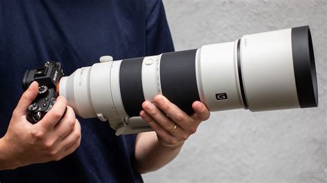 A Weekend with the Sony 200-600mm and 600mm Lenses | B&H eXplora