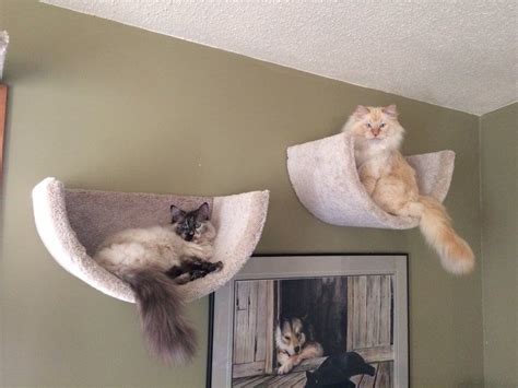 Wall mounted cat bed/cat bed/cat shelf/pet bed/kitten bed/cat | Etsy ...