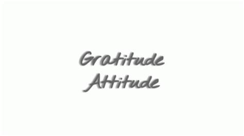 Gratitude Attitude GIF - Gratitude Attitude - Discover & Share GIFs