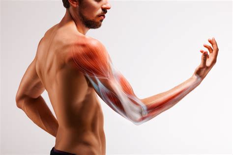 Bicep Tendon Rupture: Can I Still Workout With a Torn Bicep Tendon?