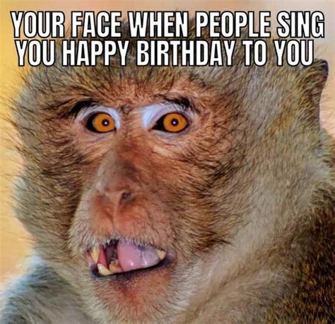 Happy Birthday Memes Funny