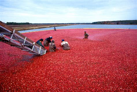 Wisconsin's Right to Farm Law - Wisconsin Farm Bureau Federation