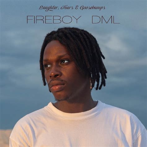 DOWNLOAD ALBUM: Fireboy DML – Laughter, Tears & Goosebumps (Zip File)