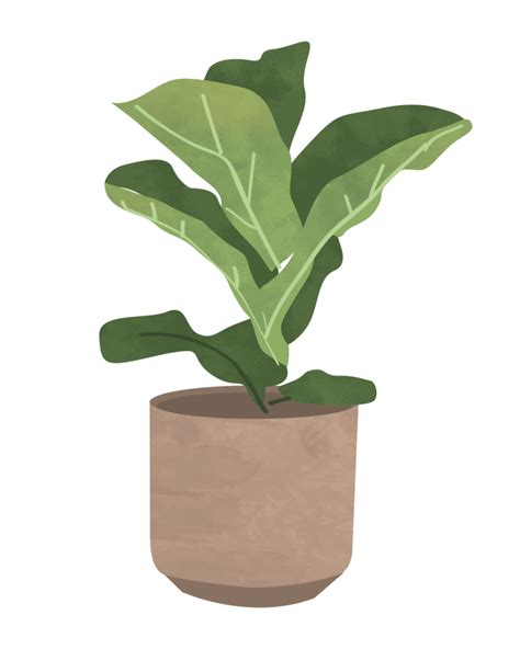 Plant png aesthetic - Download Free Png Images