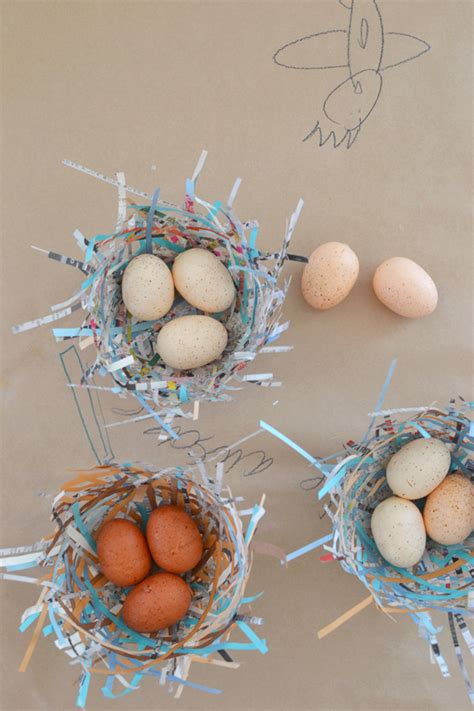 DIY Bird Nests (With images) | Bird nests art, Recycled paper art, Bird ...