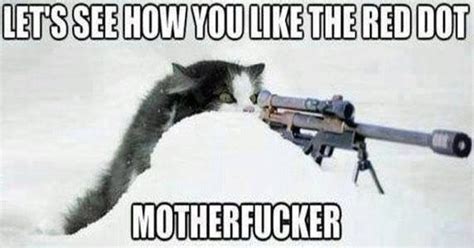 Sniper Cat's Revenge - Military Humor