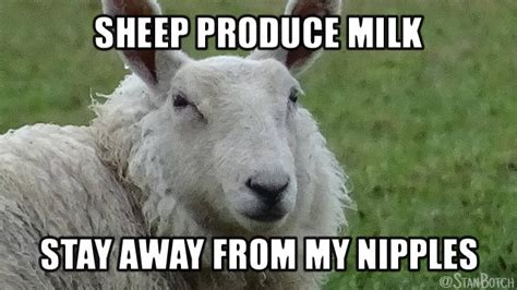 23 Funny Sheep Memes, Botch