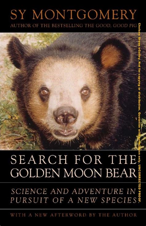 Search For the Golden Moon Bear Preview