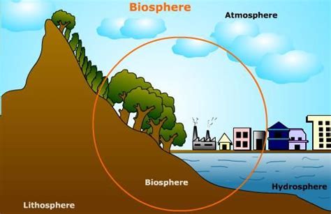 Biosphere is a part of the Earth's surface inhabited by living things ...