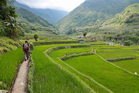 Breathtaking Rice Terraces of Ifugao Province, Philippines - There Is Cory