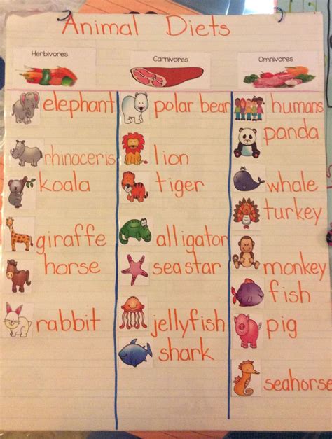 Carnivores Omnivores And Herbivores Worksheets