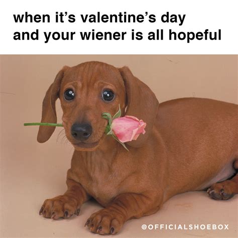 Cute Valentines Day Memes : 21 valentine's day memes that will make you ...