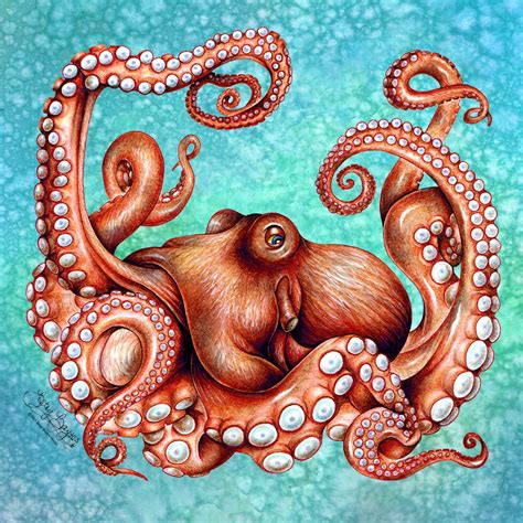 Kraken Octopus Art Canvas Print. Original 12 X 12 Sea Creature - Etsy UK