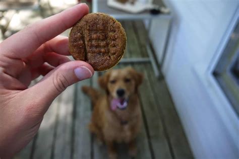 Peanut Butter Cookie Dog Treats | Stress Baking