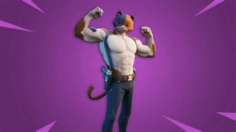 Fortnite Cat Wallpapers - Wallpaper Cave