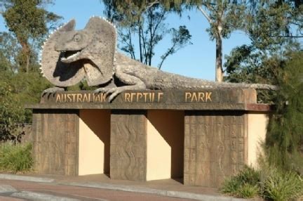 Australian Reptile Park | Tim Faulkner