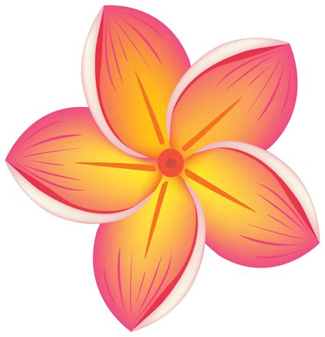 transparent hawaiian flower clipart - Clip Art Library