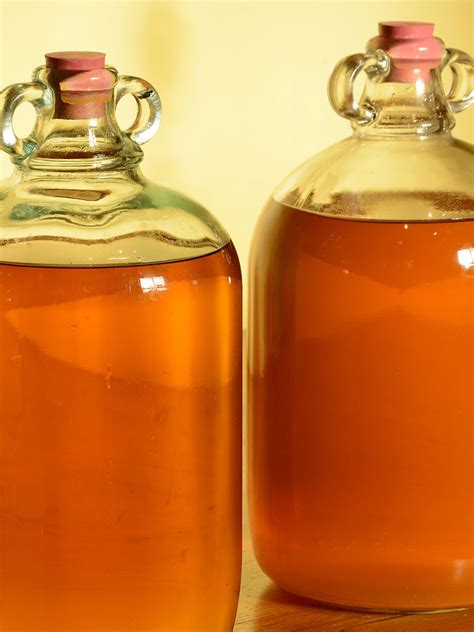 Honey Mead Recipe 1 Gallon | Besto Blog