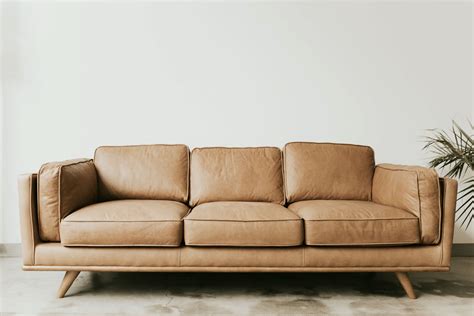 Mid Century Modern Leather Sleeper Sofa | Cabinets Matttroy