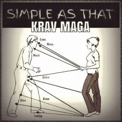 Ami Nivs 10 Principles of Krav Maga | Learn krav maga, Self defense ...