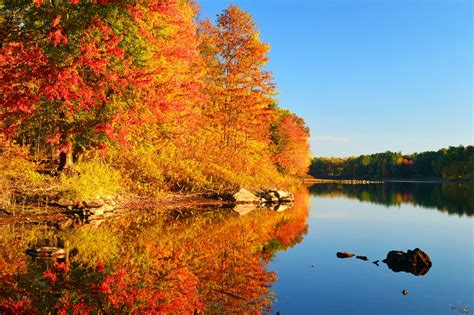 Hillside Drone Footage Captures Beauty of October's Fall Foliage