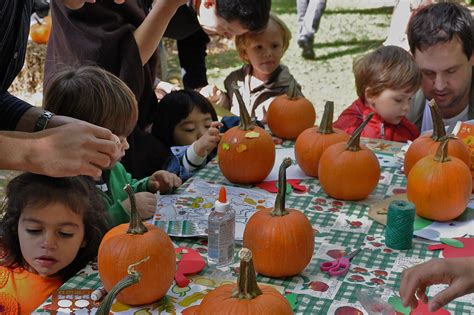 Harvest festival, Pumpkin picking, Festival