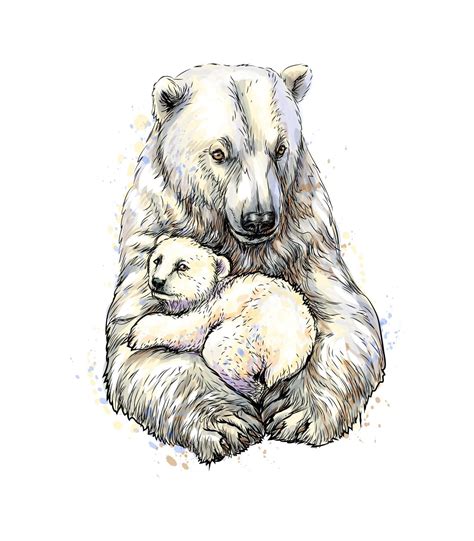 Polar bear with cub from a splash of watercolor hand drawn sketch ...