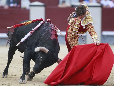 Spanish bullfighting could be forced out of major cities as left-wing ...