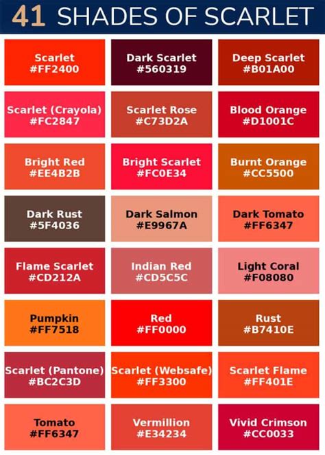 Scarlet Color - A Deep Dive Into the Beautiful Scarlet Red Shade